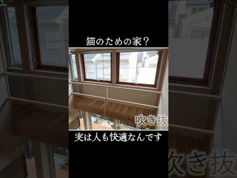 ｜猫好き必見　職人技が詰まった猫との住まい｜