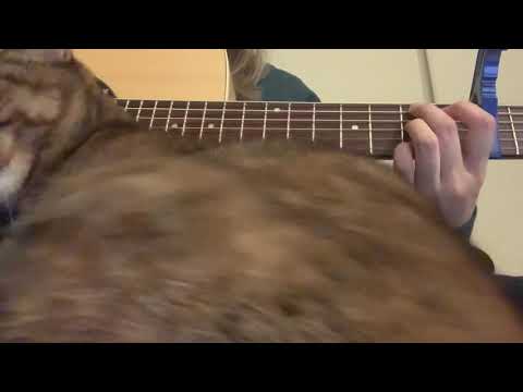 東京フラッシュ/Vaundy  covered by さめこ