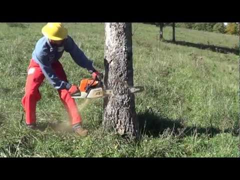 Video: I Nærheden Af Chelyabinsk Undrer De Sig Over årsagerne Til Det Mærkelige Fald I Skoven - Alternativ Visning