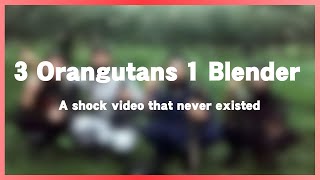 3 Orangutans 1 Blender - A shock video that never existed