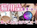 【猫動画&猫用品レビュー】猫を飼うならこれがおすすめ!!