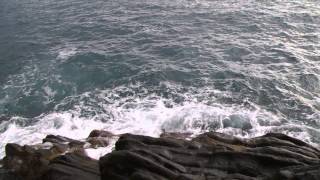 Sea near Riomaggiore