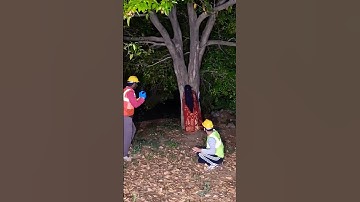 Jai Shree Mahadev 🙏🙏 #shiv #mahakal#bholenath #mahadev #shorts #trending #youtube #shortsfeed