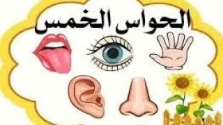 The 5 senses الحواس الخمس بالانجليزية 