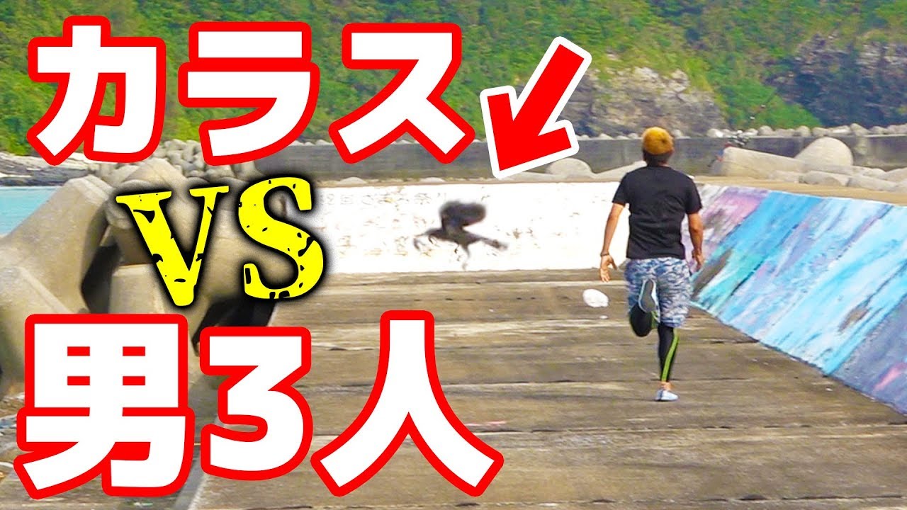 Chase the crows stealing your fishing bait! [Zamami Expedition #2