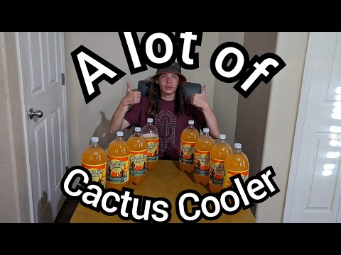 A lot of Cactus Cooler