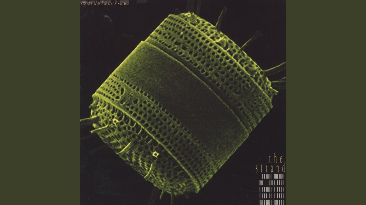 Guarda Haunted su YouTube Guarda Haunted su YouTube