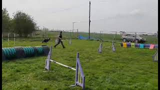 Vesta training at Toni Dawkins.