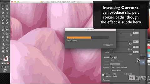 Illustrator CS6 106: Trace and Paint: Create From Real Media - 11. Exploring the Options for a Bette