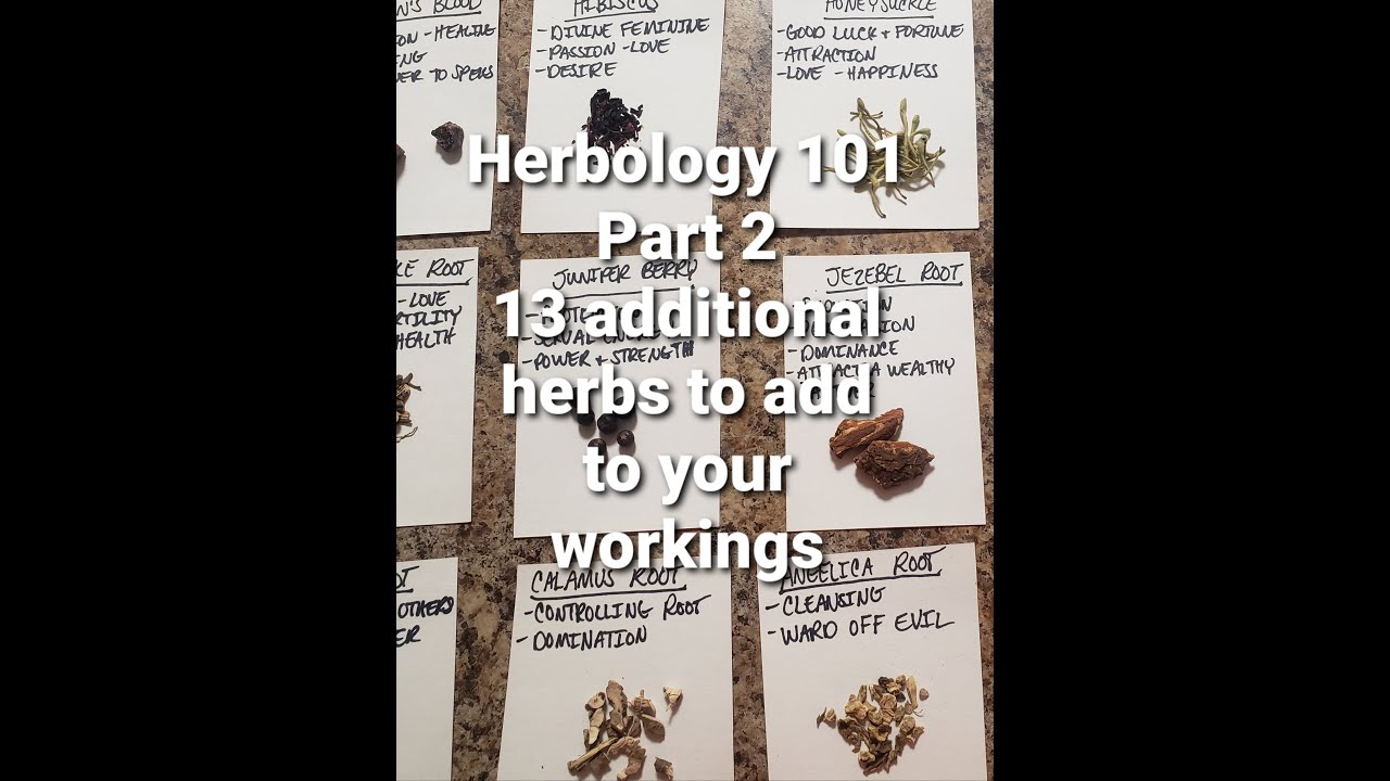 Herbology 101/ Part 2! 13 additional herbs to add to your workings🌟