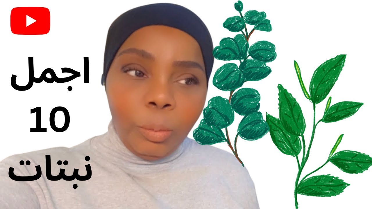 10 نباتات منزلية نموها ممتاز في مجموعتي