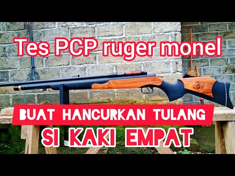 Tes Power PCP ruger monel 5000psi Biggame #senapanangin #pcpbiggame