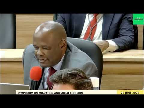 PARLIAMENT MPS DISCUSS THE FACTORS OF IMMIGRATION CHALLENGES AND WHOLE AFRICA COMING TO SOUTH AFRICA
