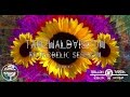 Tobias bassline  at tanzwaldvision retrodelic session augsburg goa trance mix 08042017