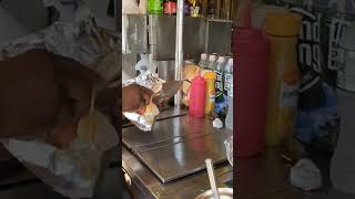 Best Nyc Dirty Water Hot Dogs