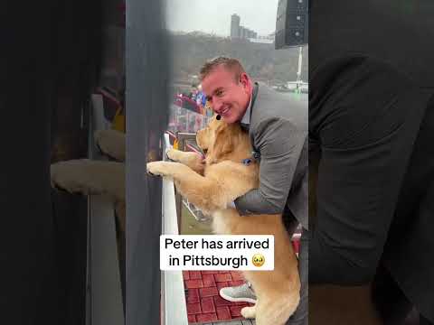 PETER HAS ARRIVED! 🔥