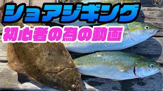 【ショアジギング】大阪湾ショアジギング初心者が教える青物の釣り方