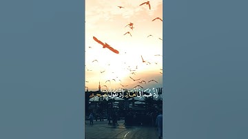 سوره التوبة(٤٠)|اكتب شيء تؤجر عليه #القرآن_الكريم #اللهم_صل_على_محمد_وال_محمد #foryou #viral#القرآن