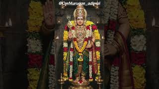 ஆறுமுகம் அருளிடும் அனுதினமும் ஏறுமுகம் 🪷🙏