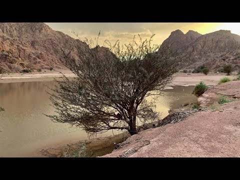 تمرين نقبين 