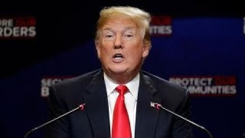 Do Democrats agree with Trump on MS-13?