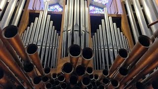 Video thumbnail of "Concierto en Portugal  Catedral de Oporto.  Liudmila Matsyura - órgano  16 04 2016"
