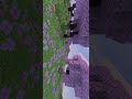 Did I do good even tho he had full enchant when I had none