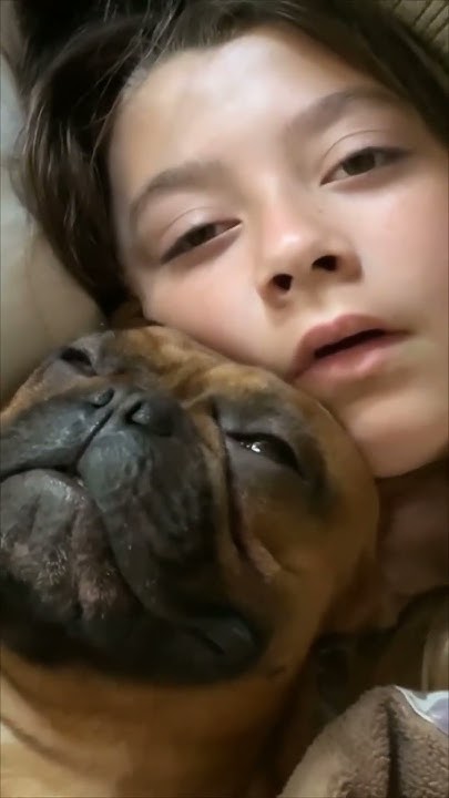 Dogs Worry About YOU At Night YouTube dogs-worry-about-you-at-night-youtube