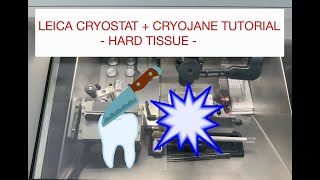 How We Cut Hard Tissue in the Lab - A Look Inside Cryosectioning with Leica Cryostat and CryoJane