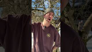 What Austrian dialect sounds like for people that don’t speak it