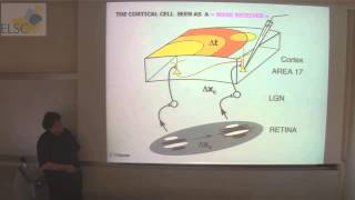 2014 Heller Lecture - Prof. Yves Frégnac Computational Neuroscience Lecture 10b High Level Visual Processing