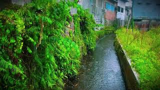 Download Lagu 🛑  SPESIAL PETERPAN-NOAH ALBUM KENANGAN Tanpa Iklan |Album Nostalgia 🎸 BIKIN MERINDING ‼️ FULL 1 JAM MP3