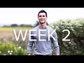 How To Get Lean With Less Stress (Week 2)