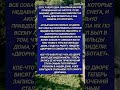 #история #историиизжизни #бабуля #дворник #камеры #месть #смешное