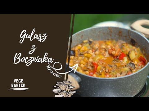 GULASZ Z BOCZNIAKA | Vege Bartek
