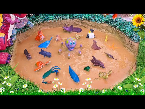 Big Sea Animal Laughing Octopus Triceratops Water Animals Insects Sea Animals Stuck in Mud