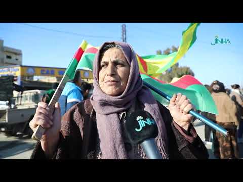 ����� ����
