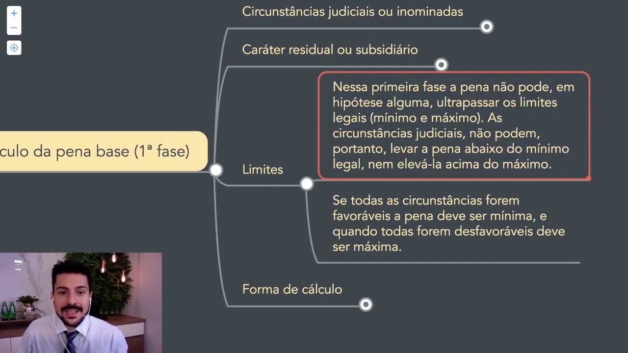 1-fase-da-dosimetria-da-pena-art-59-do-c-digo-penal-no-es-gerais