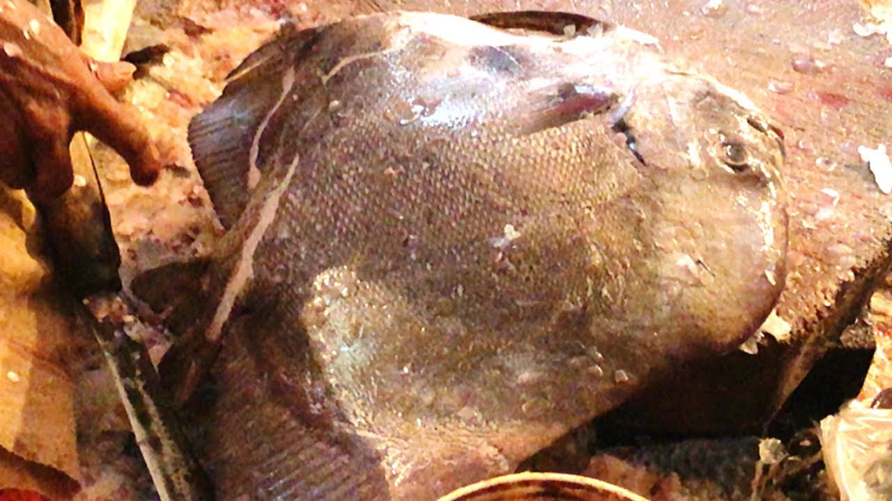 Amazing Bat Fish Cutting Skills Off Sea Fish Market ctg Expert Fish Cutter Cut To The Bat Fish