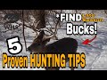 5 Late Season Deer Hunting Tips