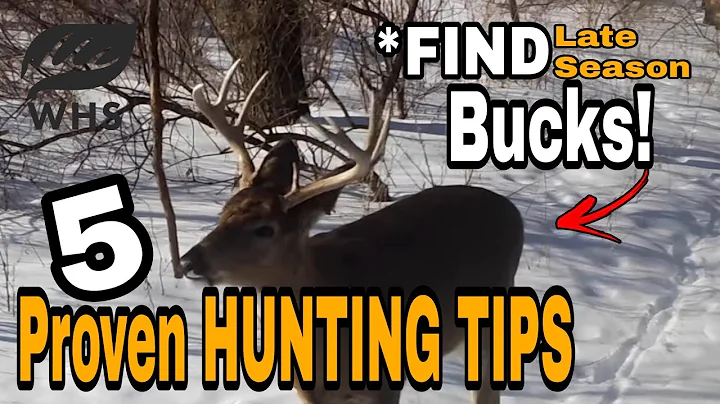 5 Late Season Deer Hunting Tips