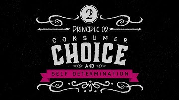 Housing First  Principles Into Practice #2 CZ