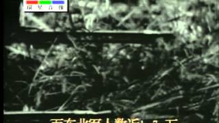 4118  Manchurian Incident