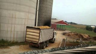 Unloading Corn Silage