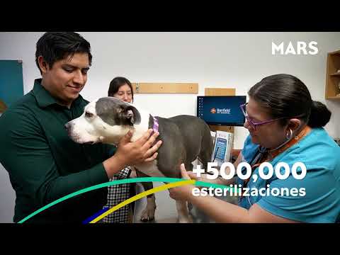 MARS cerca de las mascotas: Nutrición para estar MARS cerca de las mascotas