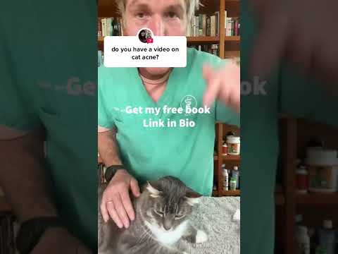 Video: Hur man stoppar en katt från att dra sin päls: 10 steg