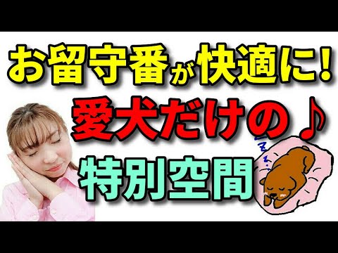 犬 ハウス ケージ サークル 愛犬のお留守番をもっと快適に おススメぐっすり眠れる愛犬だけの寝床の作り方 新遠藤エマチャンネル 犬のしつけ 横浜 Youtube 犬 ハウス ケージ サークル 愛犬のお留守番をもっと快適に おススメぐっすり眠れる愛犬だけの寝床の作り方 新遠藤エマチャンネル 犬のしつけ 横浜 Youtube