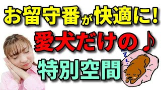 【犬 ハウス・ケージ・サークル】愛犬のお留守番をもっと快適におススメぐっすり眠れる愛犬だけの寝床の作り方新遠藤エマチャンネル【犬のしつけ横浜】