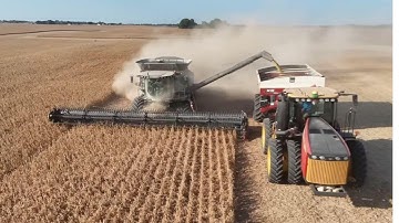 Ohio Soybean Harvest 2025 | Powerful Gleaner Combines in Action