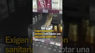 Exigen inspección sanitaria tras captar una rata en un OXXO de Jalisco